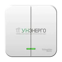 Выключатель 2-кл. ОП Blanca 6А IP20 (сх. 5) 250В с металлич. пластиной бел. SE BLNVA065021 Выключатель 2-кл. ОП Blanca 6А IP20 (сх. 5) 250В с металлич. пластиной бел. SE BLNVA065021