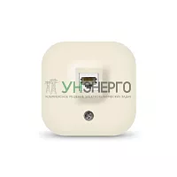 Розетка компьютерная ОП IP20 сл. кость IONICH 1432