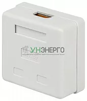 Розетка компьютерная 2-м RJ45 кат.5E неэкранир. Эра Б0056902