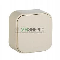 Переключатель проходной 1-кл. ОП Quteo 10А IP20 10AX сл. кость IEK 782234