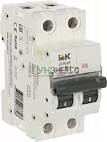 Выключатель автоматический модульный 2п B 1А M06N ARMAT IEK AR-M06N-2-B001