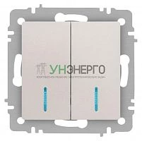 Выключатель 2-кл. СП Accent 6-105-06 10А IP20 250В с подсветкой AL/CU перламутр. Intro Б0063519