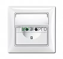 Розетка 1-м СП Basic 55 16А IP44 250В Schuko в сборе альп. бел. ABB 2CKA002018A1505