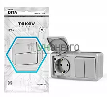 Блок ОП Dita (розетка 16А 250В с заземл. + 2-кл. выкл. 10А) IP54 сер. TOKOV ELECTRIC TKL-DT-V2RZ-C06-IP54