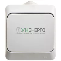 Переключатель проходной 1-кл. ОП Этюд 10А IP44 10AX сер. SE BA10-046C