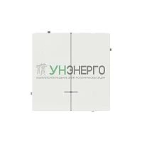 Переключатель 2-кл. KANT с подсветкой бел. магнолия DKC 7000144 Переключатель 2-кл. KANT с подсветкой бел. магнолия DKC 7000144