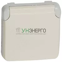 Розетка 1-м СП Plexo 16А IP55 2P+E с заземл. с крышкой немецк. стандарт винтов. клеммы механизм бел. Leg 069639