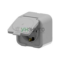 Розетка 1-м СП ARIA 16А IP20 с заземл. с крышкой сер. ARVIA 25 22 1000 218 Розетка 1-м СП ARIA 16А IP20 с заземл. с крышкой сер. ARVIA 25 22 1000 218