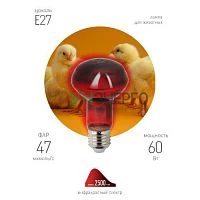 Излучатель тепловой (лампа инфракрасная) ИКЗК 230-60 R63 60Вт Е27 для обогрева животных и освещения КЭЛЗ Б0057281 Излучатель тепловой (лампа инфракрасная) ИКЗК 230-60 R63 60Вт Е27 для обогрева животных и освещения КЭЛЗ Б0057281