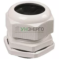 Сальник PG 21 d15-18мм IP54 (уп.2шт) IEK YSA20-18-21-54-K41-I