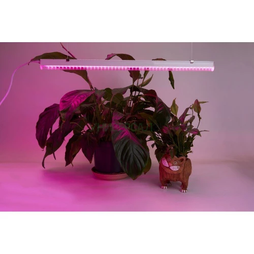 Светодиодный светильник для растений, спектр фотосинтез (красно-синий) 18W, пластик, AL7001 41353 фото 8