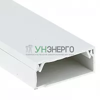 Кабель-канал 100х60 L2000 пластик Plast PROxima EKF kk-100-60