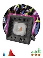 Прожектор для растений FITO-50W-LED BLUERED 50Вт IP65 220-240В -30град. до + 45град. 30000ч ЭРА Б0039033
